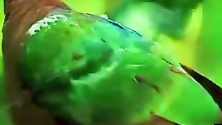 Beautiful names of Allah,asmaul husna,