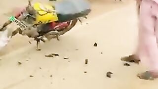 Awam mehngayi se tang a k.   Tail mehnga.