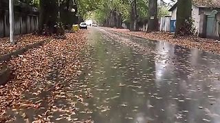 Walking