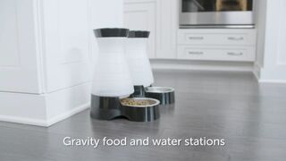 PetSafe Healthy Pet Water Station - Large, 320 oz Capacity - Gravity Cat & Dog