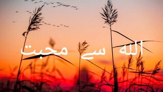 الله تعالی اور محبت | انسان اور محبت | الله تعالیٰ ،انسان اور محبت