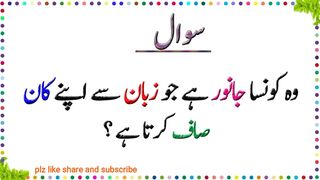 Education