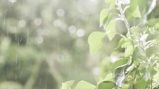 RAINY WEATHER