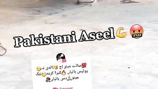 Asleel murga