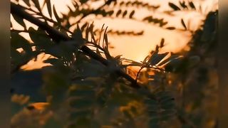 Music video