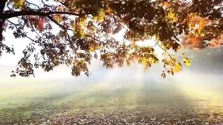 Music video