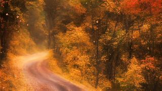 Beautiful view of nature 186