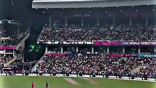 Cricket lovers