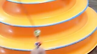 Прикольное видео