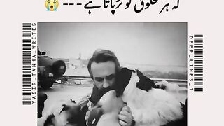 Must_Amzing_shortsVedeo_
