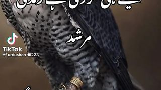 Best poetry