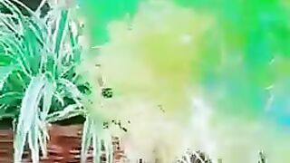 Ghr me Phool lgao