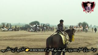 #yung boy on#Horses on befor#Riding