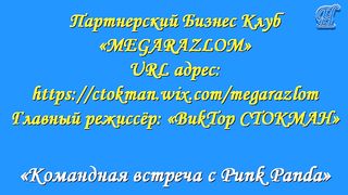 «Командная встреча Punk Panda»