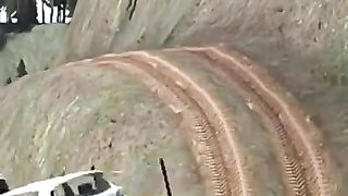 Movie's cars