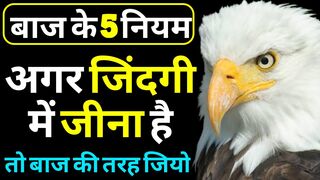 The Eagle Mentality - Best Motivational Video in Hindi Sales Motivation