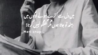 Dill se utry hovy log