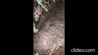 TREASURE / Gold Treasure/  Outdoor treasure discovery,