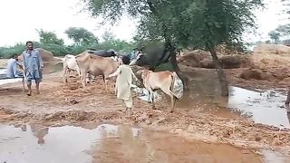 Flood in Balochistan Pakistan 2022