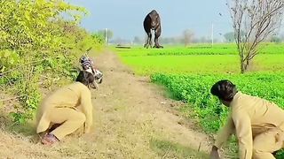 Funny magic video
