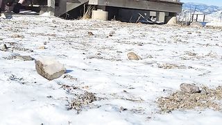 Cute girl playing with dog