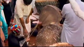 Live dahmal Lal shabaz qalndar