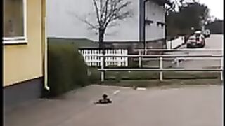 Funniest animals