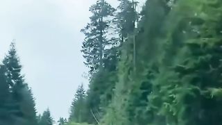 Roadway Trips