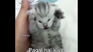 Meri jan tune mujh ko pagle hai kia
