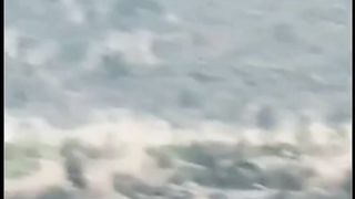 Nice video with Arabi song