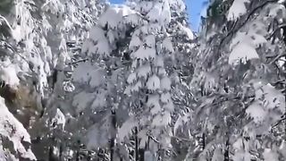 This is called Pakistan