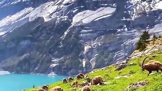 Amazing view GB Pakistan