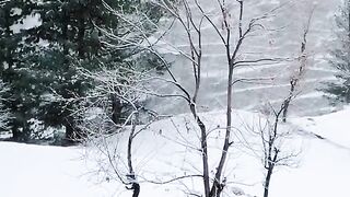 Amazing snow