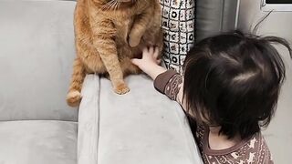 Cat With Baby