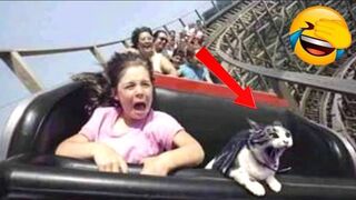 Funny Animal Videos 2023 ????