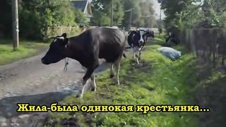 Лежит мужик ни чей