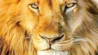 Mensagens motivacionais, se escreva no canal