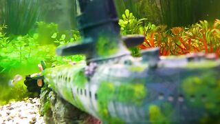 Relaxing Piano Music • Sleep Music, Water Sounds, Relaxing Music, Meditation Music
