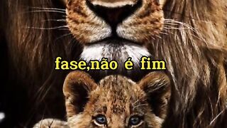 Mensagens motivacionais para sua vida
