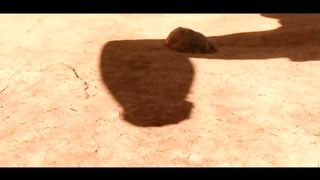 Hunting For Breakfast Opening Scene - THE CROODS (2013) Movie Clip