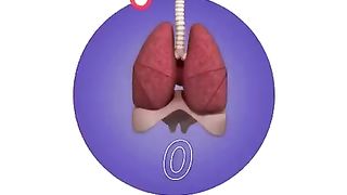 Test Your Lung Capacity