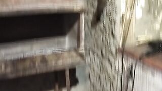 Дружелюбный сосед
