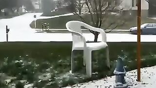 Snowfall
