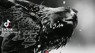 Very #### intresting#### for ####all####people