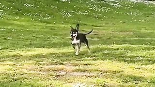 Cute and Funny moment