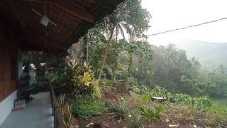 Morning Nature and rain