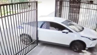 Worong entry