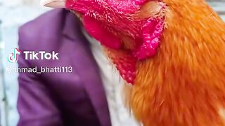 Tik tok vedio