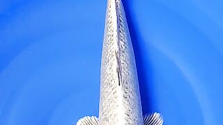 Mukasi ogon