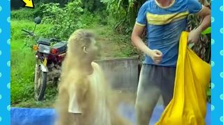 New Funny and Fail Videos 2023 ???? Cutest People Doing Funny Things ????????